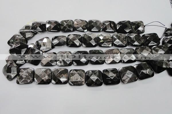 CHS28 15.5 inches 20*20mm faceted square natural hypersthene beads