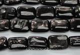 CHS89 15.5 inches 10*14mm rectangle natural hypersthene beads