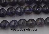 CIL100 15.5 inches 4mm round iolite gemstone beads wholesale