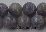 CIL103 15.5 inches 10mm round iolite gemstone beads wholesale