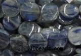 CKC02 16 inches 25mm flat round natural kyanite beads wholesale