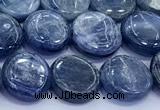 CKC816 15 inches 11mm - 12mm flat round blue kyanite beads