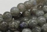 CLB04 16 inches 12mm round labradorite gemstone beads wholesale