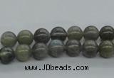 CLB100 15.5 inches 8mm round labradorite gemstone beads wholesale