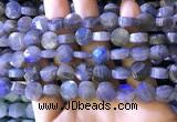 CLB1022 15.5 inches 10mm faceted coin labradorite gemstone beads