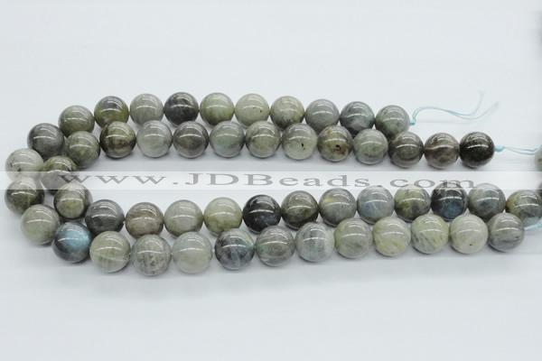 CLB103 15.5 inches 16mm round labradorite gemstone beads wholesale