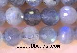 CLB1071 15.5 inches 5mm faceted round labradorite beads