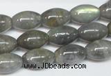 CLB151 15.5 inches 10*16mm rice labradorite gemstone beads