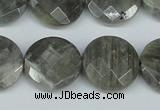 CLB193 15.5 inches 20mm faceted coin labradorite gemstone beads