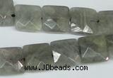 CLB201 15.5 inches 14*14mm faceted square labradorite beads