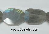 CLB206 15.5 inches 20*25mm faceted freeform labradorite beads