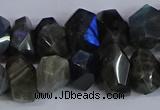 CLB232 15.5 inches 10*14mm - 13*18mm faceted nuggets labradorite beads