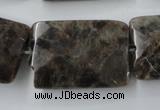 CLB426 15.5 inches 20*30mm faceted rectangle grey labradorite beads