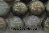 CLB608 15.5 inches 20mm round AB-color labradorite beads