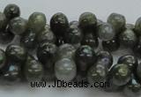 CLB631 15.5 inches 6*12mm bone AB-color labradorite beads