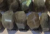 CLB701 15.5 inches 12*22mm - 14*24mm faceted nuggets labradorite beads