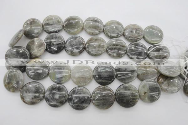 CLB738 15.5 inches 20mm flat round labradorite gemstone beads