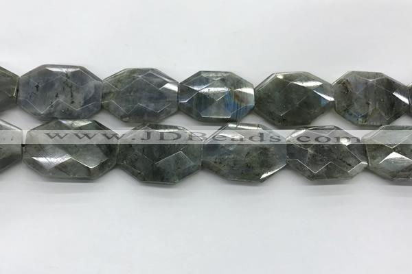 CLB799 25*30mm - 25*35mm faceted octagonal labradorite beads