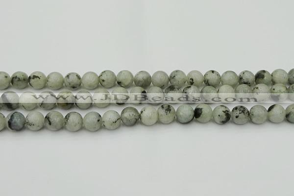 CLB853 15.5 inches 10mm round AB grade labradorite beads wholesale