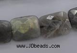 CLB94 15.5 inches 13*18mm faceted rectangle labradorite beads