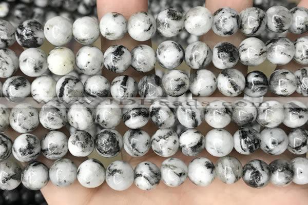 CLJ500 15.5 inches 4mm,6mm,8mm,10mm & 12mm round sesame jasper beads