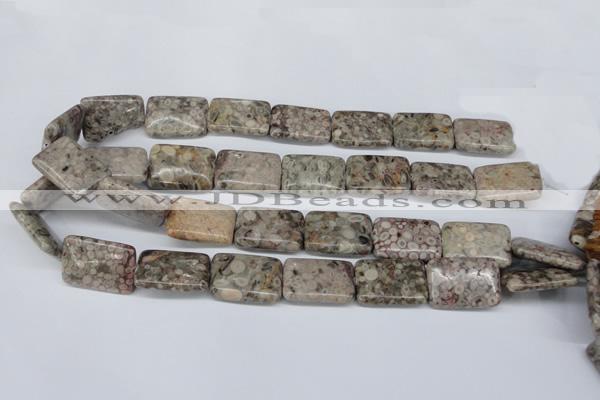 CMB27 15.5 inches 18*25mm rectangle natural medical stone beads