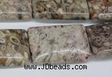 CMB28 15.5 inches 20*30mm rectangle natural medical stone beads