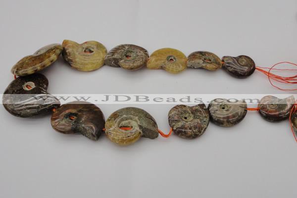 CMM02 15.5 inches 18*25mm - 35*45mm carved ammonite gemstone beads