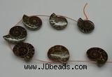 CMM05 15.5 inches 30*35mm - 35*40mm carved ammonite gemstone beads