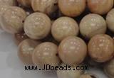 CMS04 15.5 inches 18mm round moonstone gemstone beads wholesale