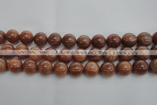 CMS1006 15.5 inches 16mm round AA grade moonstone gemstone beads