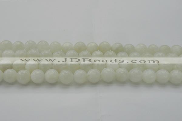 CMS1032 15.5 inches 8mm round A grade white moonstone beads