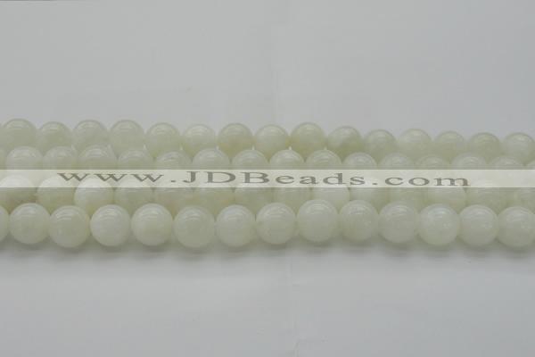 CMS1033 15.5 inches 10mm round A grade white moonstone beads