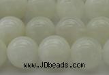 CMS1035 15.5 inches 14mm round A grade white moonstone beads