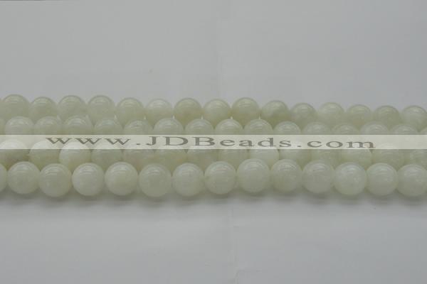 CMS1035 15.5 inches 14mm round A grade white moonstone beads