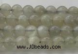 CMS1057 15.5 inches 6mm round grey moonstone beads wholesale