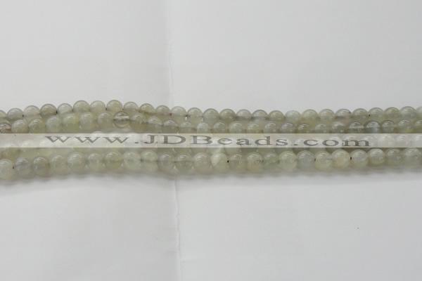 CMS1057 15.5 inches 6mm round grey moonstone beads wholesale