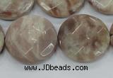 CMS114 15.5 inches 25mm faceted coin moonstone gemstone beads