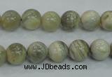 CMS121 15.5 inches 10mm round moonstone gemstone beads wholesale