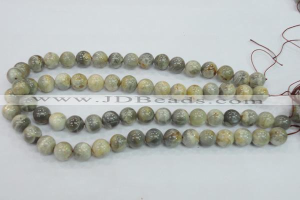 CMS122 15.5 inches 12mm round moonstone gemstone beads wholesale