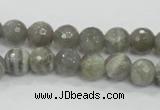 CMS124 15.5 inches 10mm faceted round moonstone gemstone beads