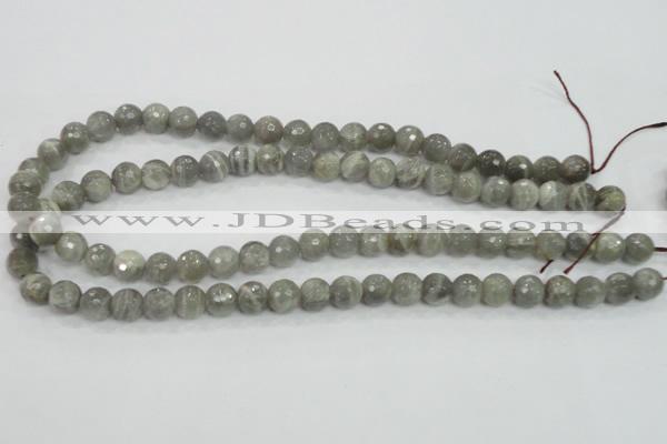 CMS124 15.5 inches 10mm faceted round moonstone gemstone beads