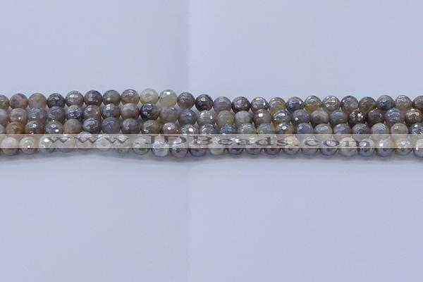 CMS1310 15.5 inches 4mm faceted round AB-color grey moonstone beads