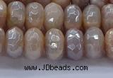 CMS1323 15.5 inches 6*10mm faceted rondelle AB-color moonstone beads