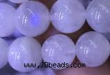 CMS1403 15.5 inches 10mm round white moonstone beads wholesale