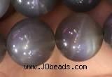 CMS1424 15.5 inches 12mm round black moonstone beads wholesale