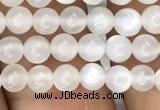 CMS1460 15.5 inches 4mm round white moonstone beads wholesale