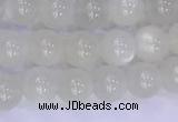 CMS1486 15.5 inches 6mm round white moonstone beads wholesale