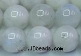 CMS1492 15.5 inches 10mm round white moonstone beads wholesale