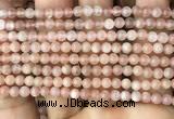 CMS1670 15.5 inches 4mm round moonstone beads wholesale